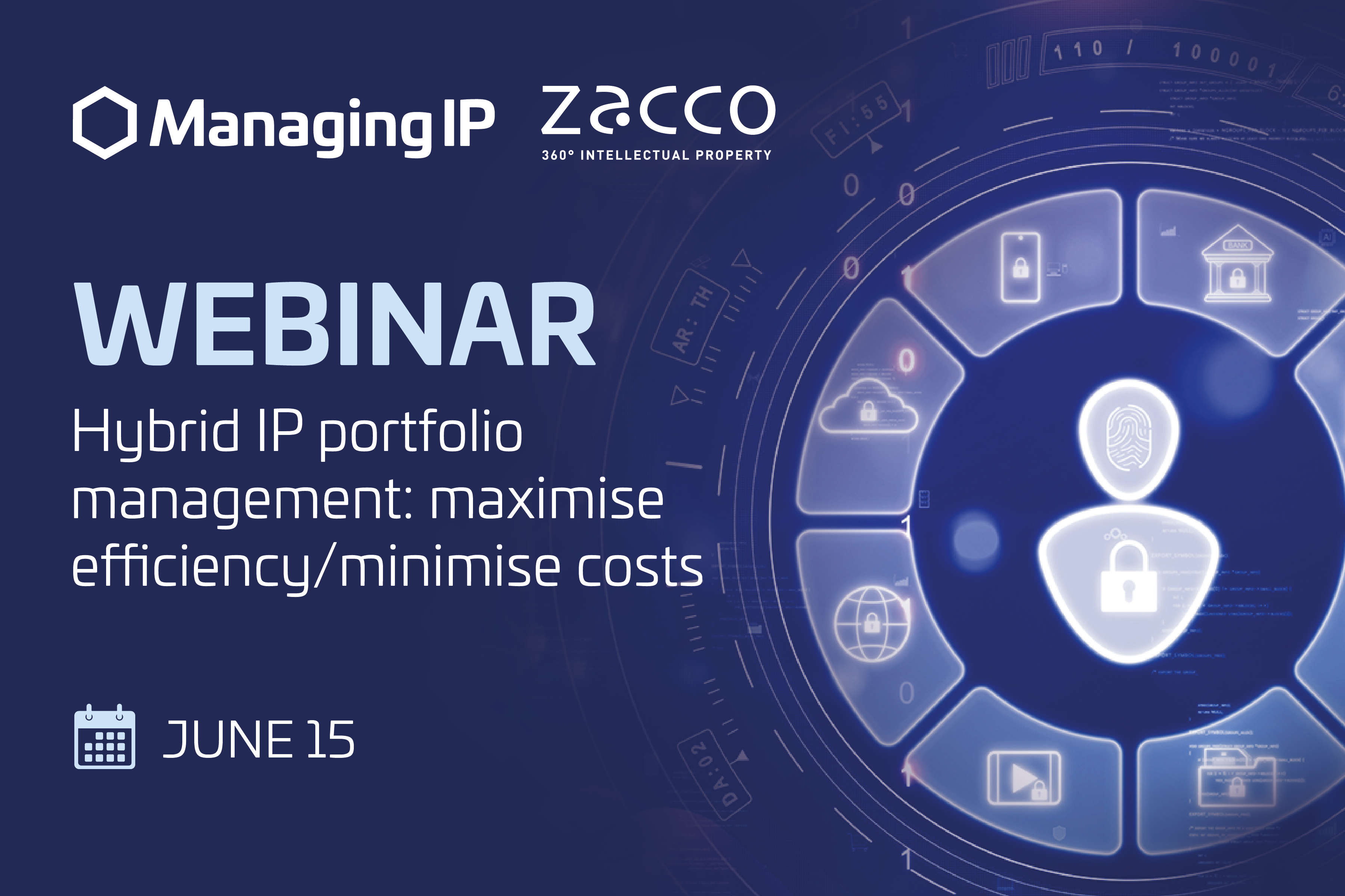 Hybrid IP Portfolio Management: Maximise efficiency / Minimise costs